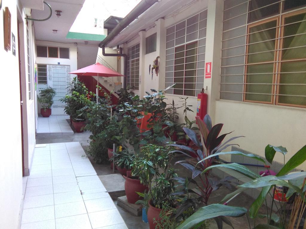 إكيتوس Hostal El Colibri المظهر الخارجي الصورة