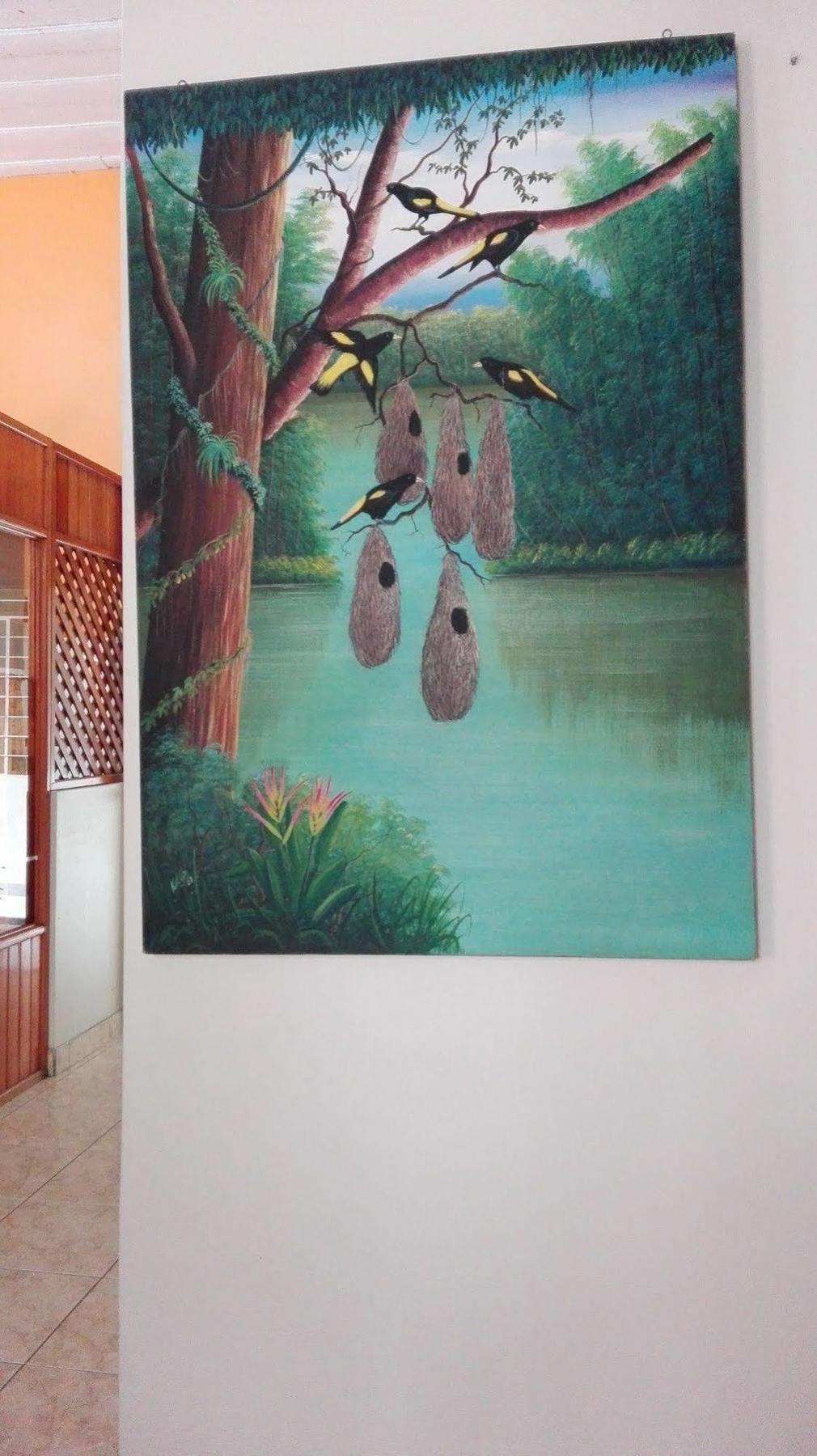 إكيتوس Hostal El Colibri المظهر الخارجي الصورة