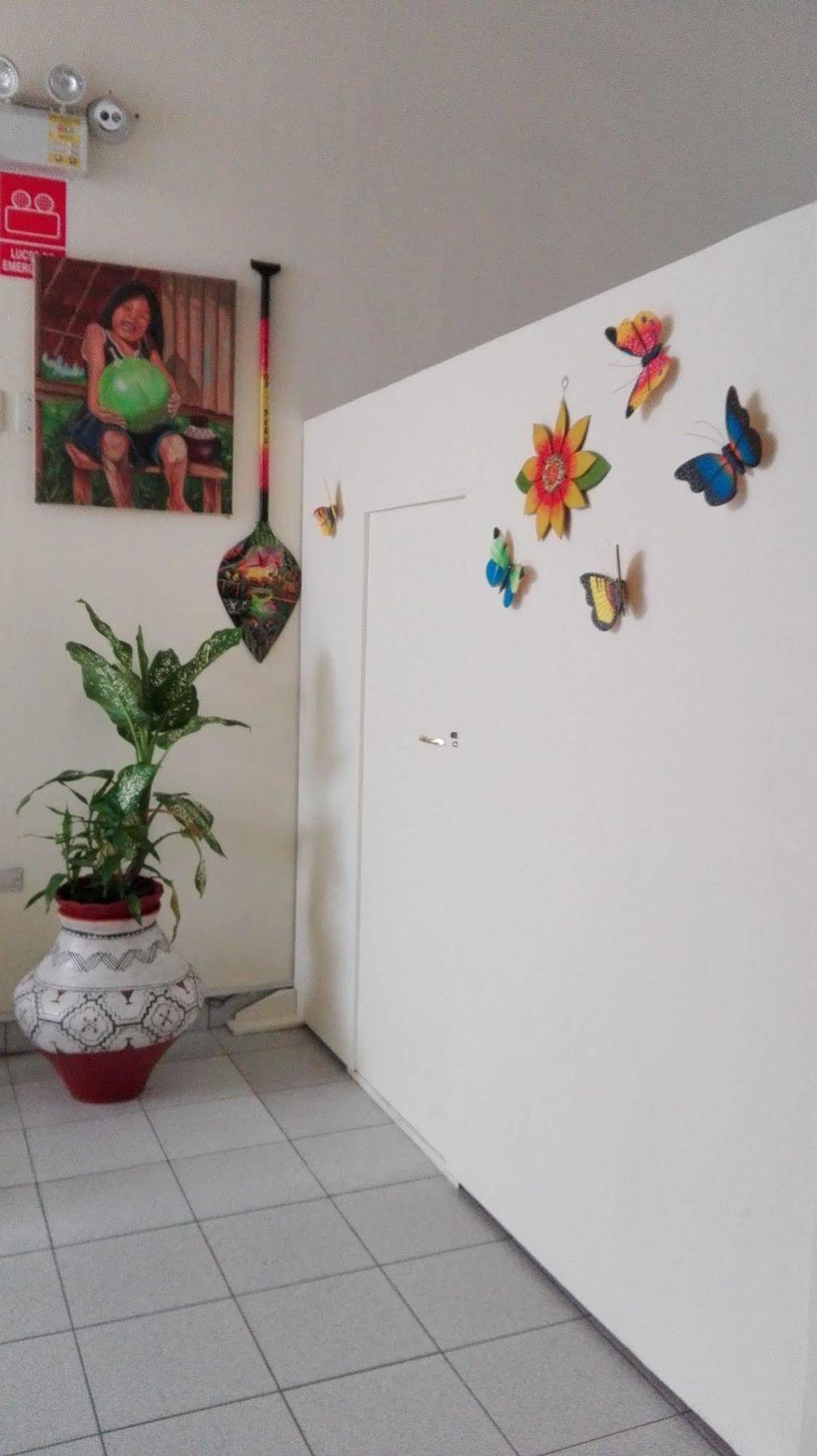 إكيتوس Hostal El Colibri المظهر الخارجي الصورة