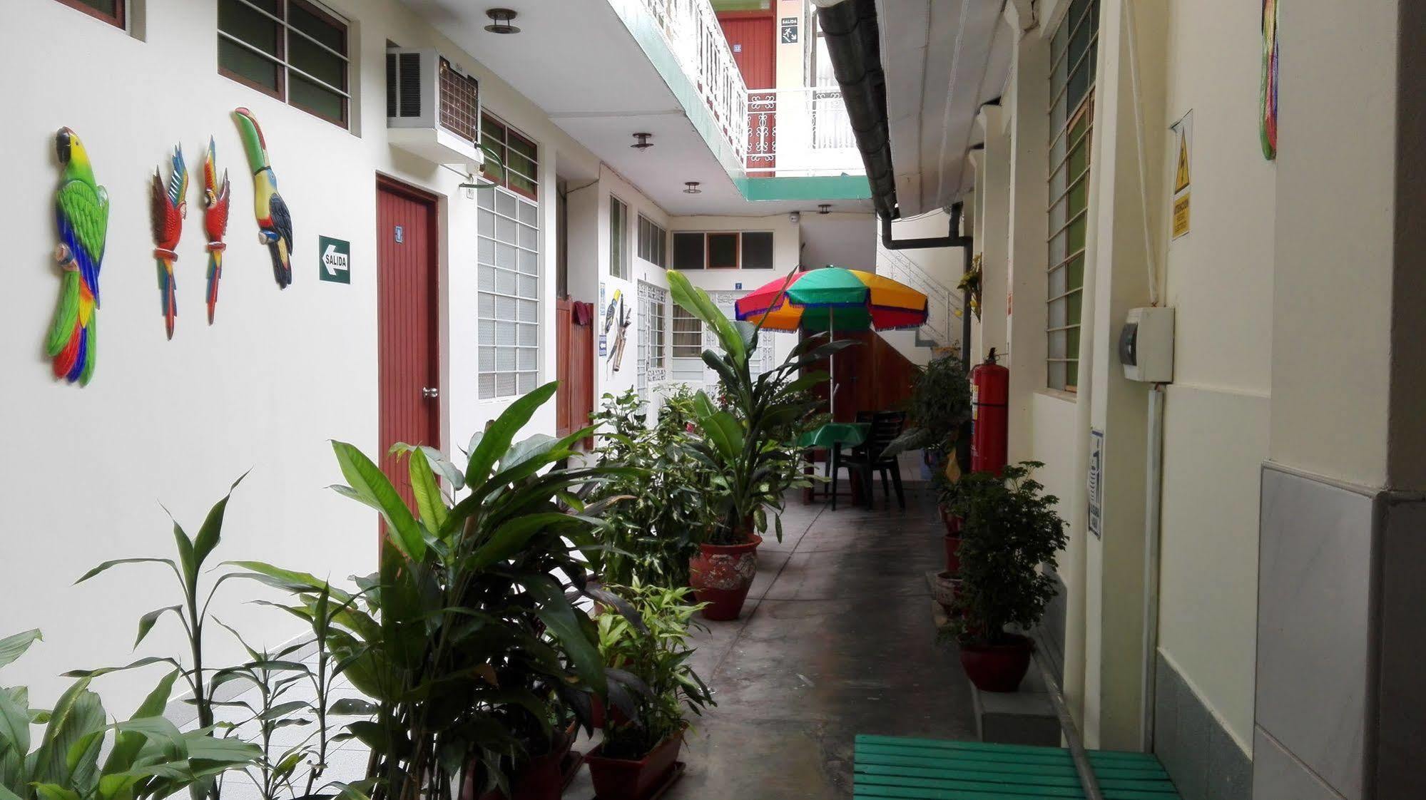 إكيتوس Hostal El Colibri المظهر الخارجي الصورة