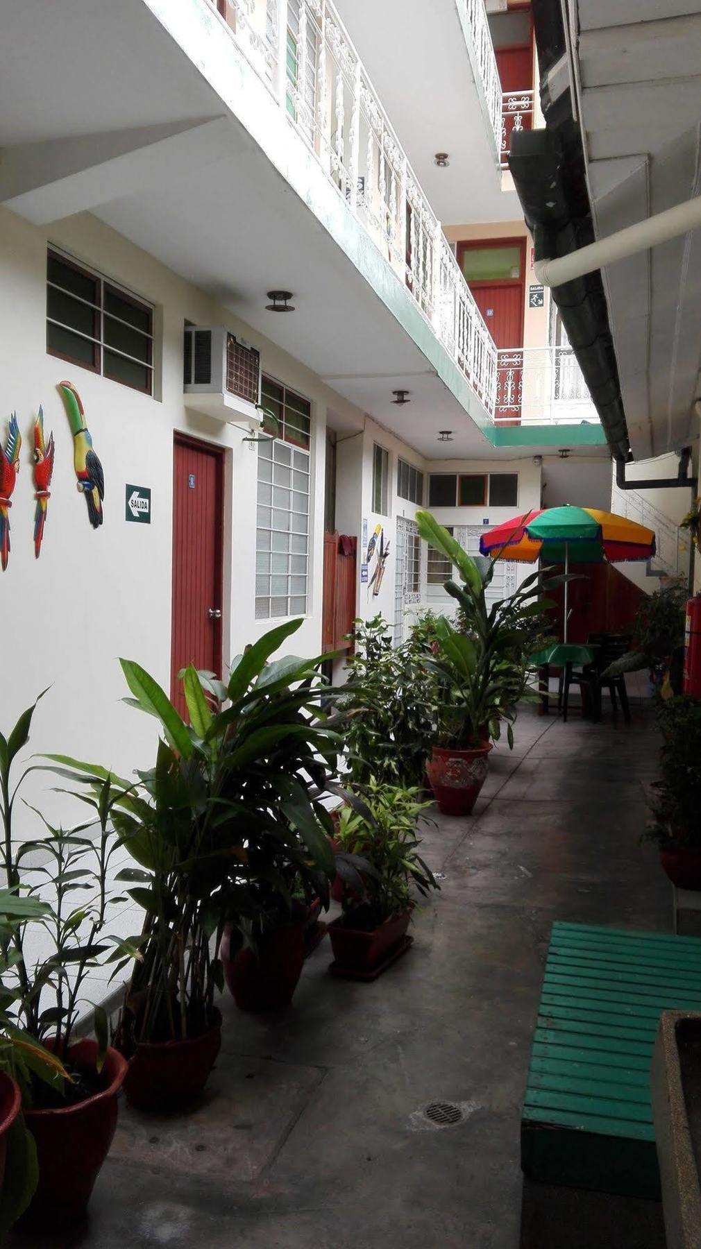 إكيتوس Hostal El Colibri المظهر الخارجي الصورة
