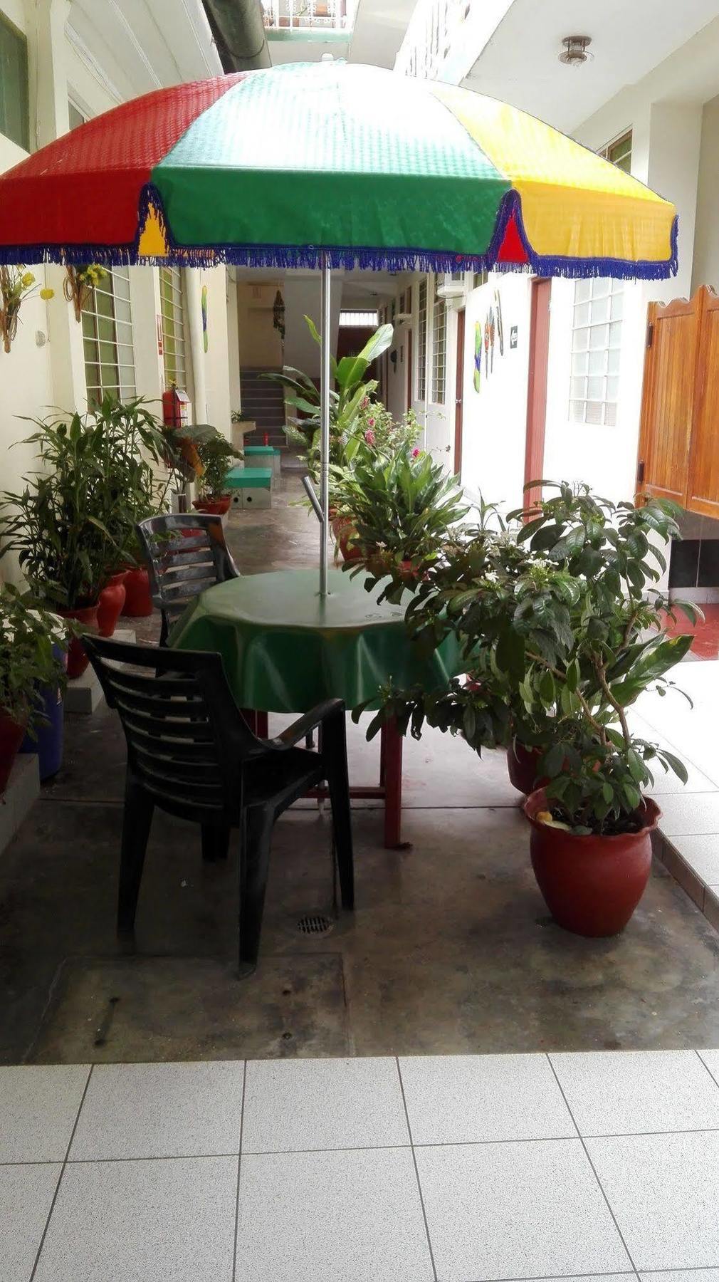 إكيتوس Hostal El Colibri المظهر الخارجي الصورة