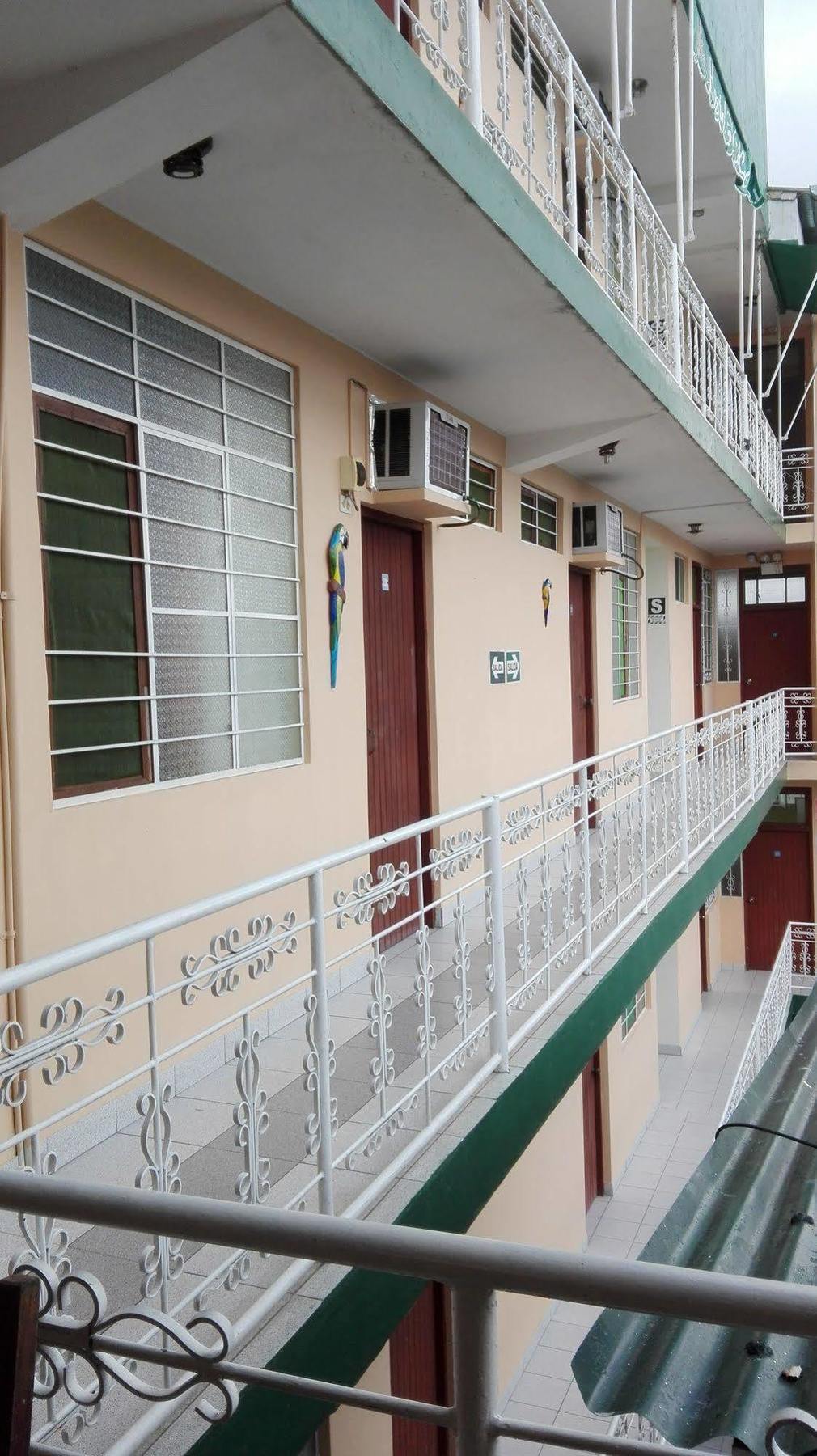 إكيتوس Hostal El Colibri المظهر الخارجي الصورة